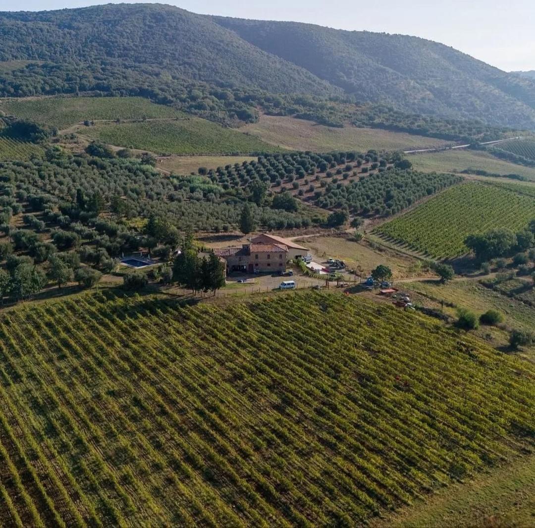 Luce Di Vino Villa Montalcino Buitenkant foto
