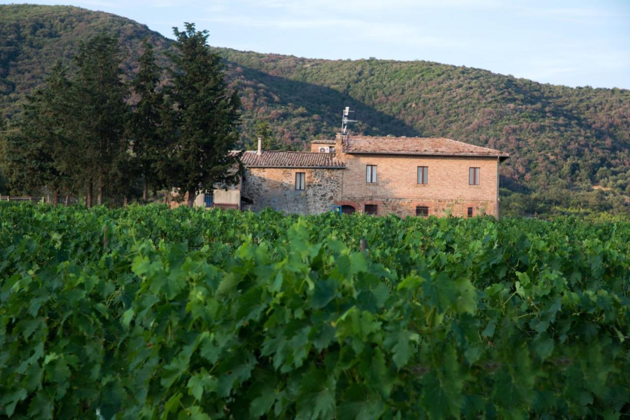 Luce Di Vino Villa Montalcino Buitenkant foto