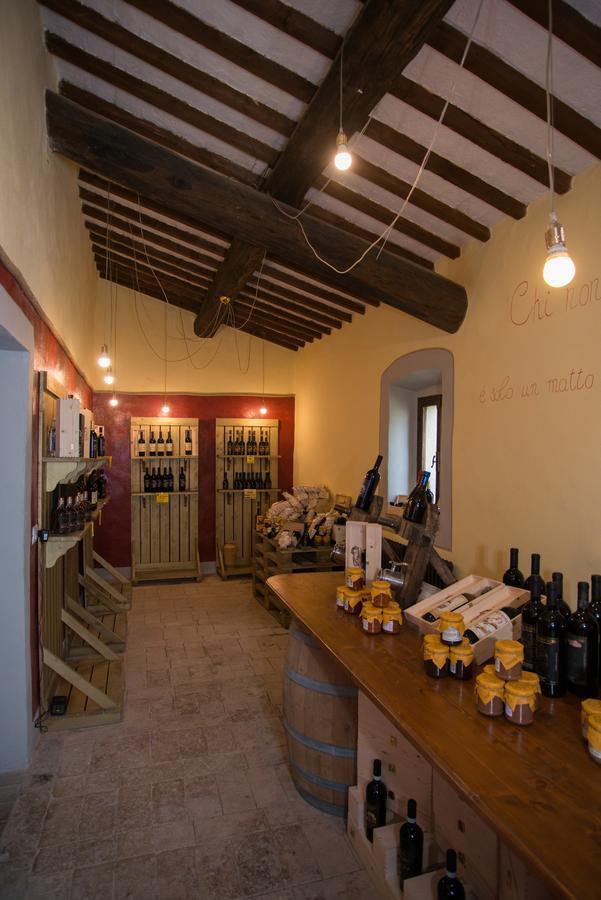 Luce Di Vino Villa Montalcino Buitenkant foto